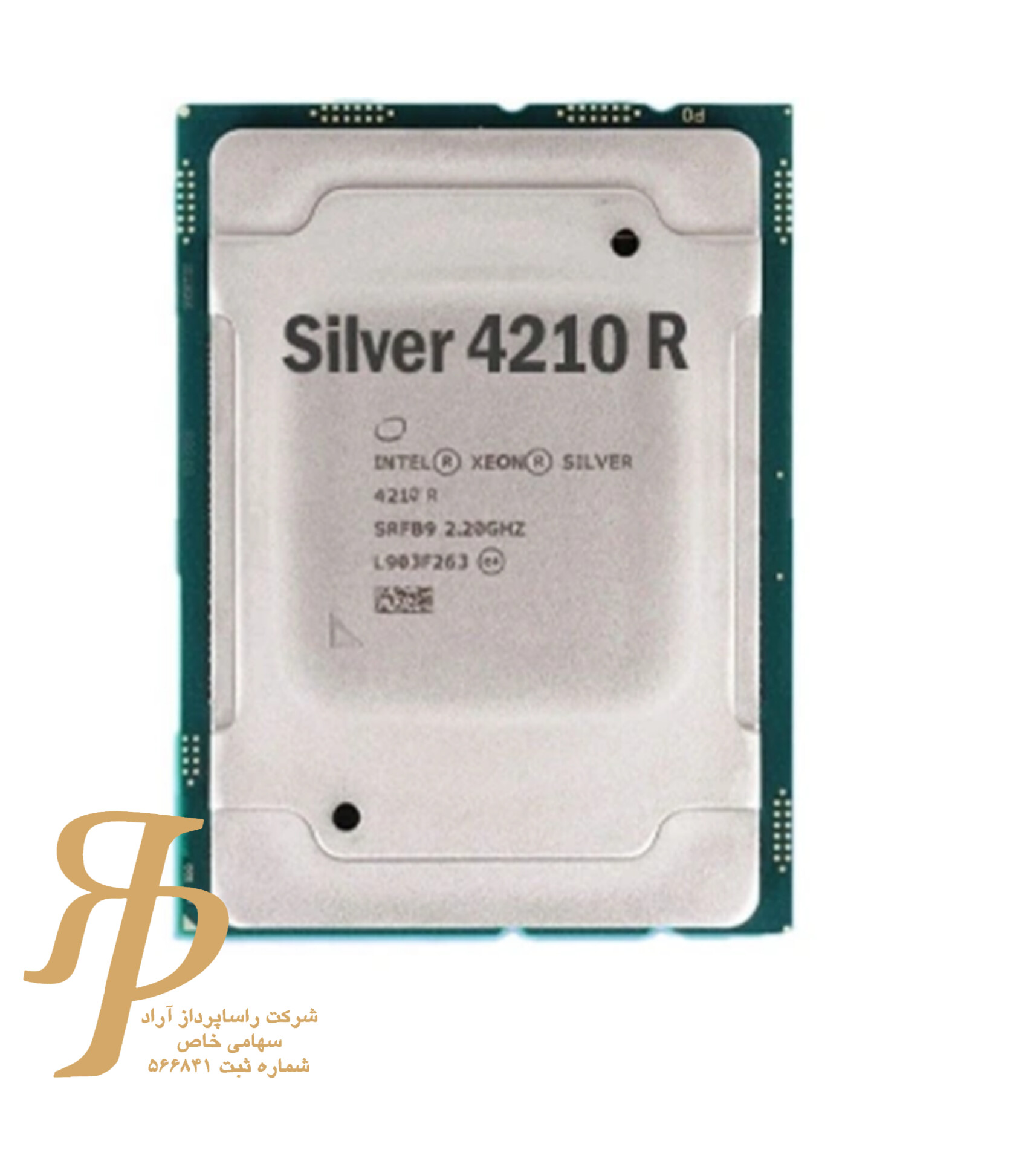 InShot_20260201_181919772 سی پی یو سرور Intel Xeon Silver 4210R 1